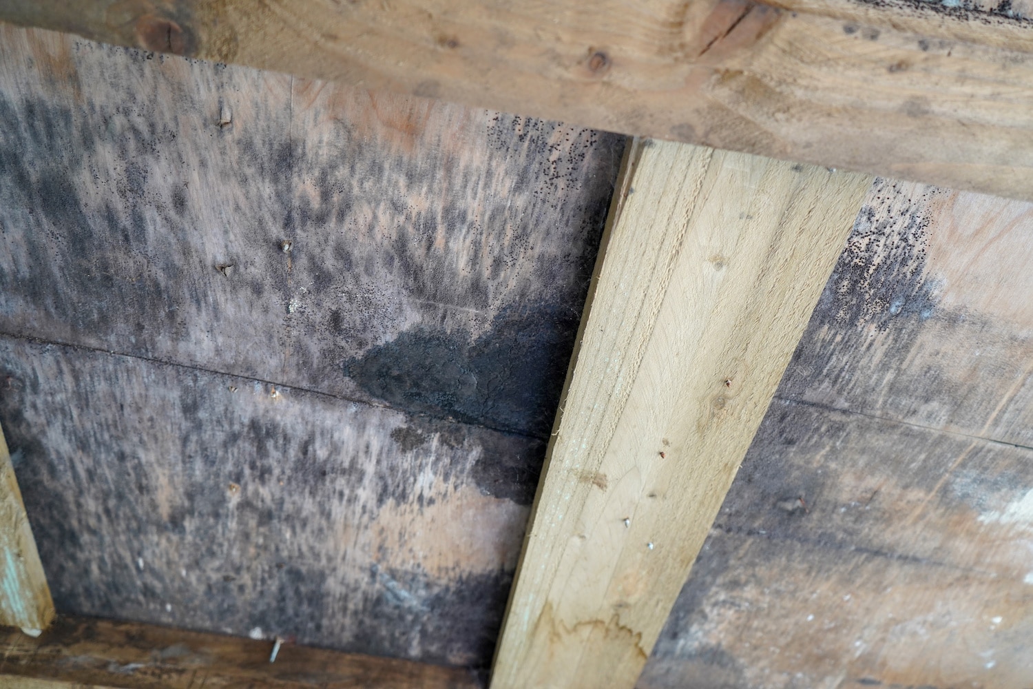 redecking a roof finding rotten decking
