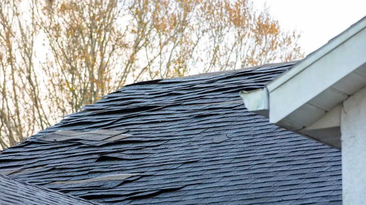 asphalt shingles damaged over the years