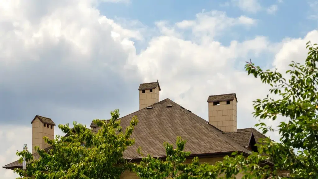 brown shingle roof